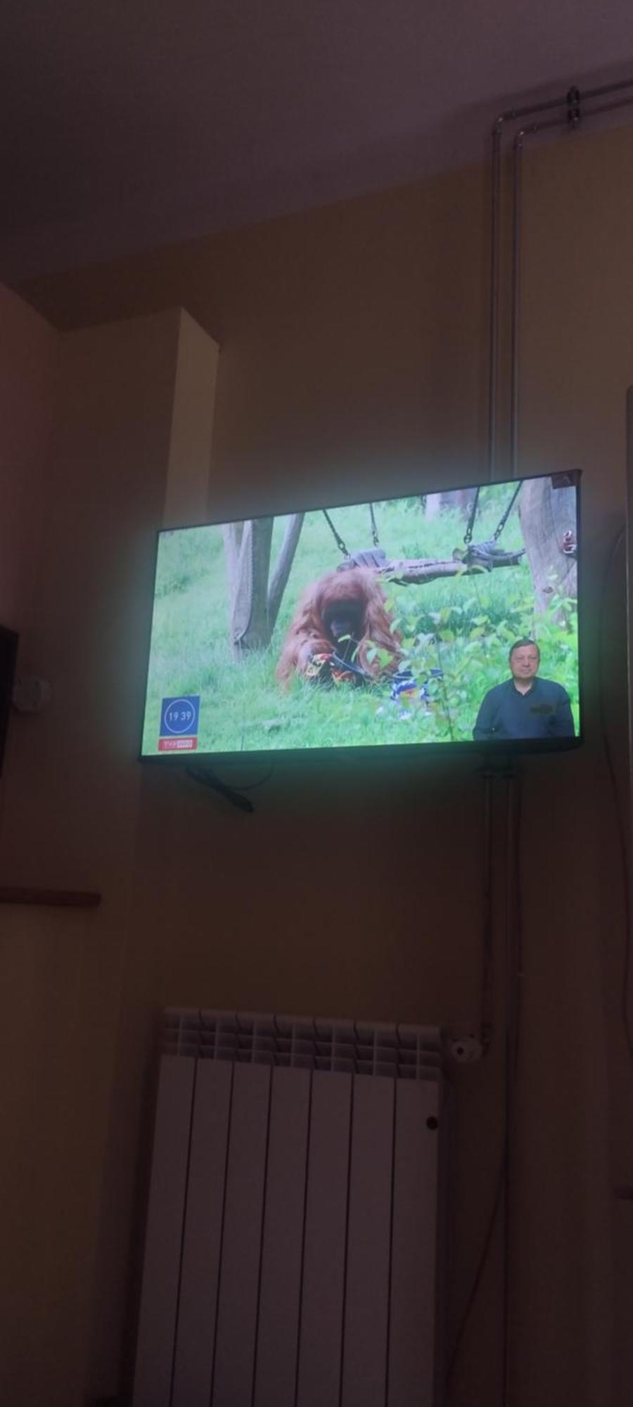 Zrodlana13 Apartamenty Makow Podhalanski Bagian luar foto